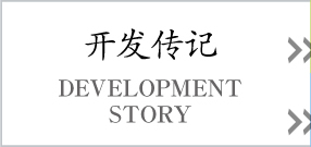 开发传记 DEVELOPMENT STORY