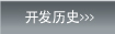 开发历史