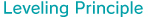 Leveling Principle　 